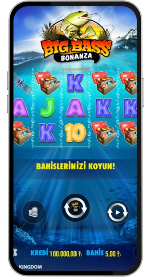 Bahis miktarı ve oyun başlangıç ekranı