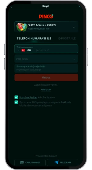 Bilgileri doldurma ve e-posta doğrulama ekranı